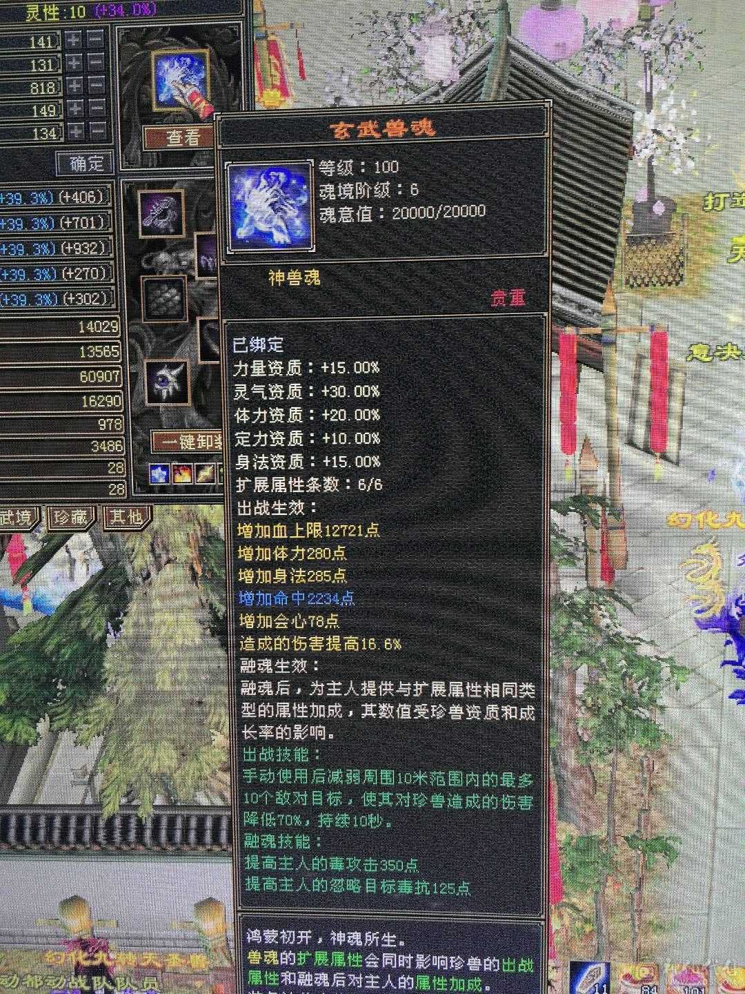 裸属8800六带12个七星宿，三永久坐骑，有内外大完美武魂带50攻击宝宝