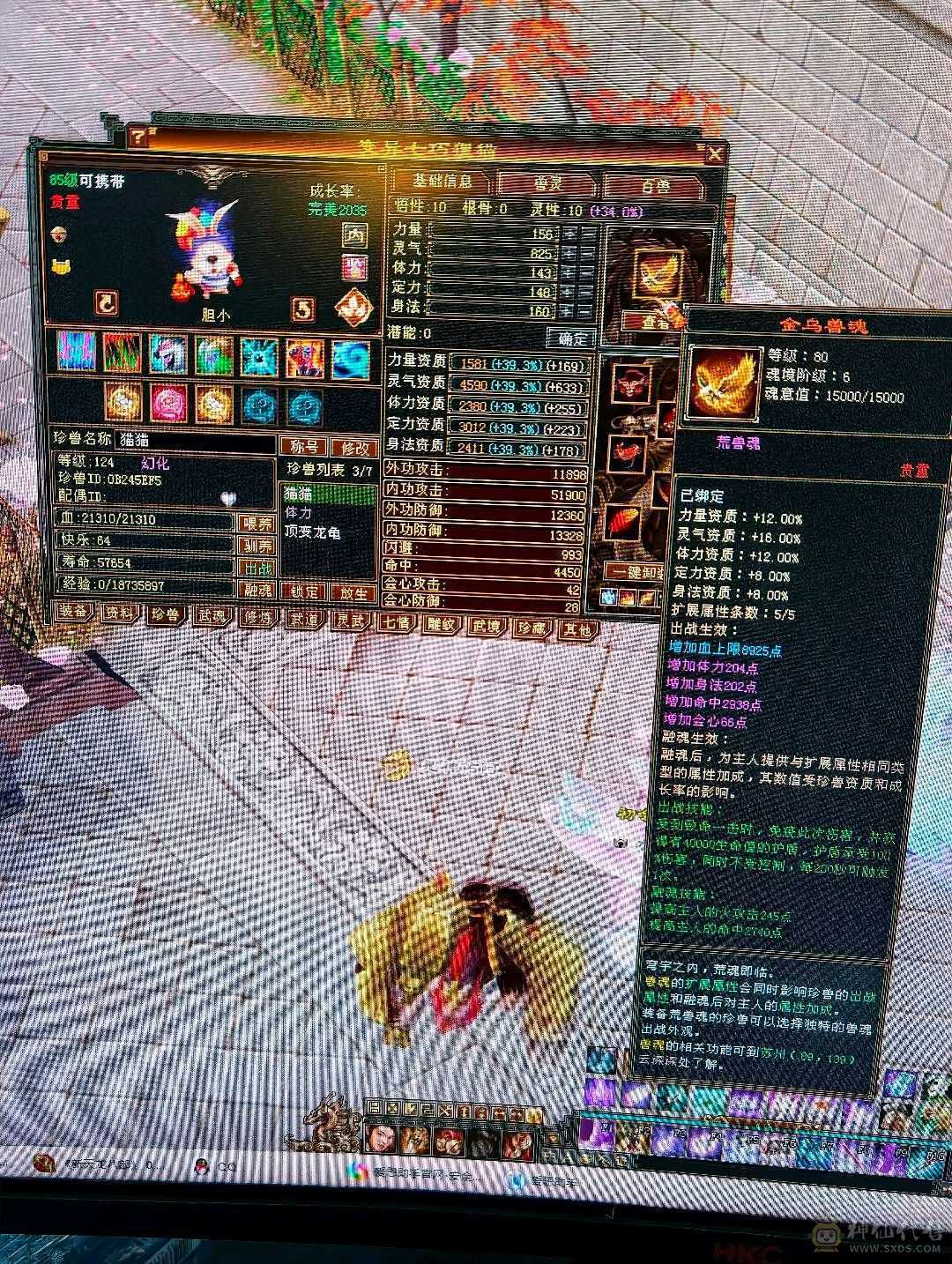 三修逍遥火，毒，冰，总属8074，主属性6008，副属2066，带全部一起出