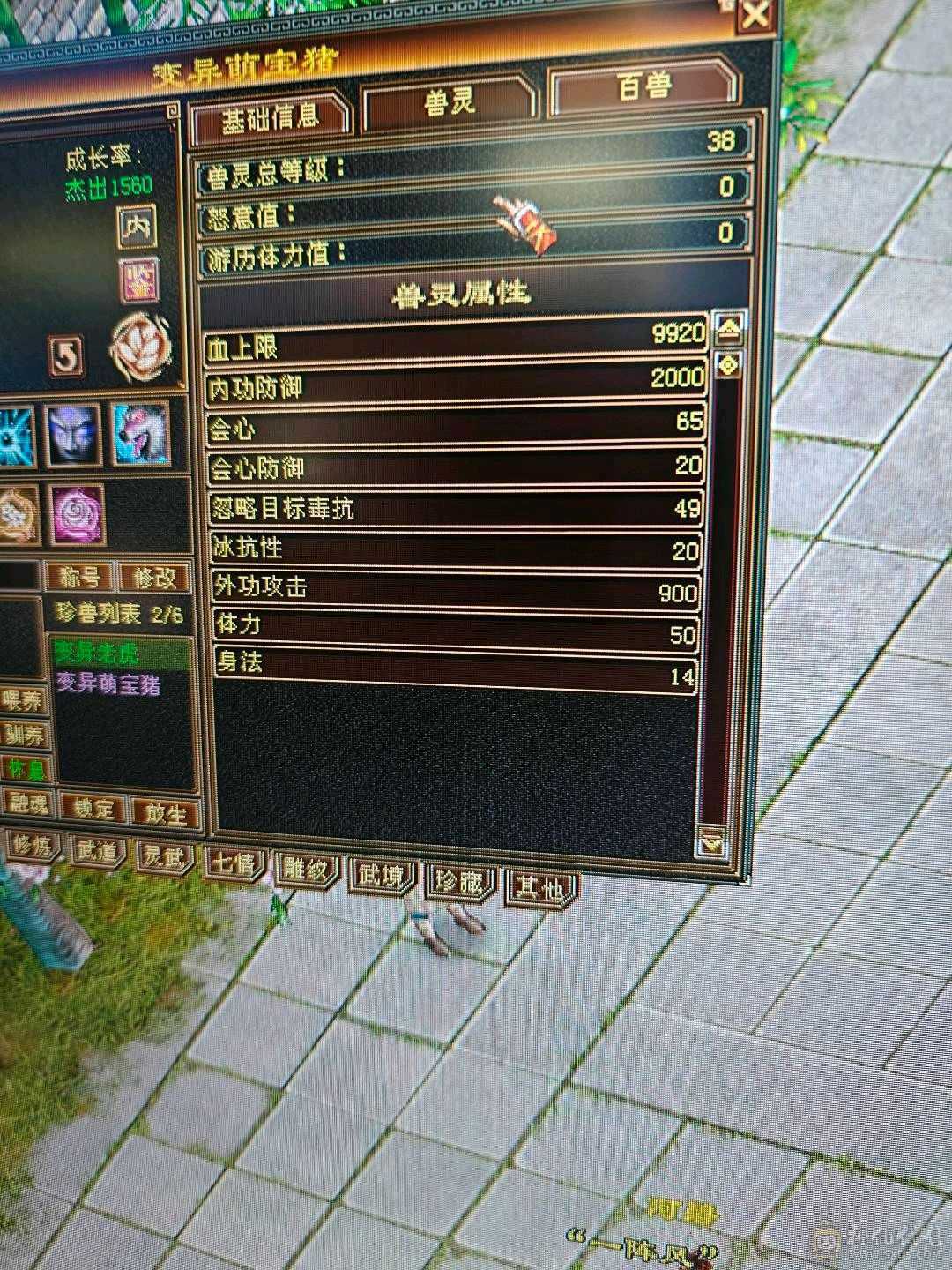 4输4体