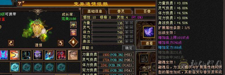 6体6属三修带拼命10