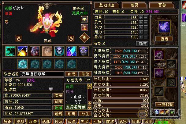 6体6属三修带拼命10