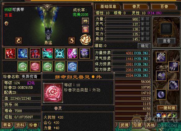 6体6属三修带拼命10