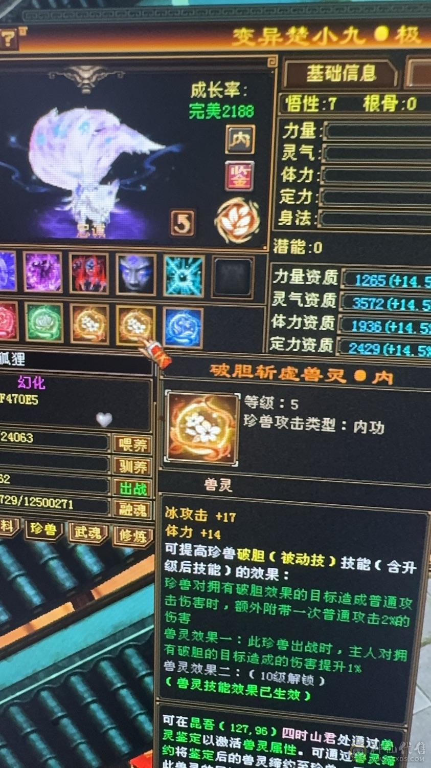 出所有带新宝宝