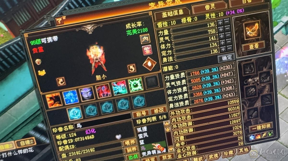 出所有带新宝宝