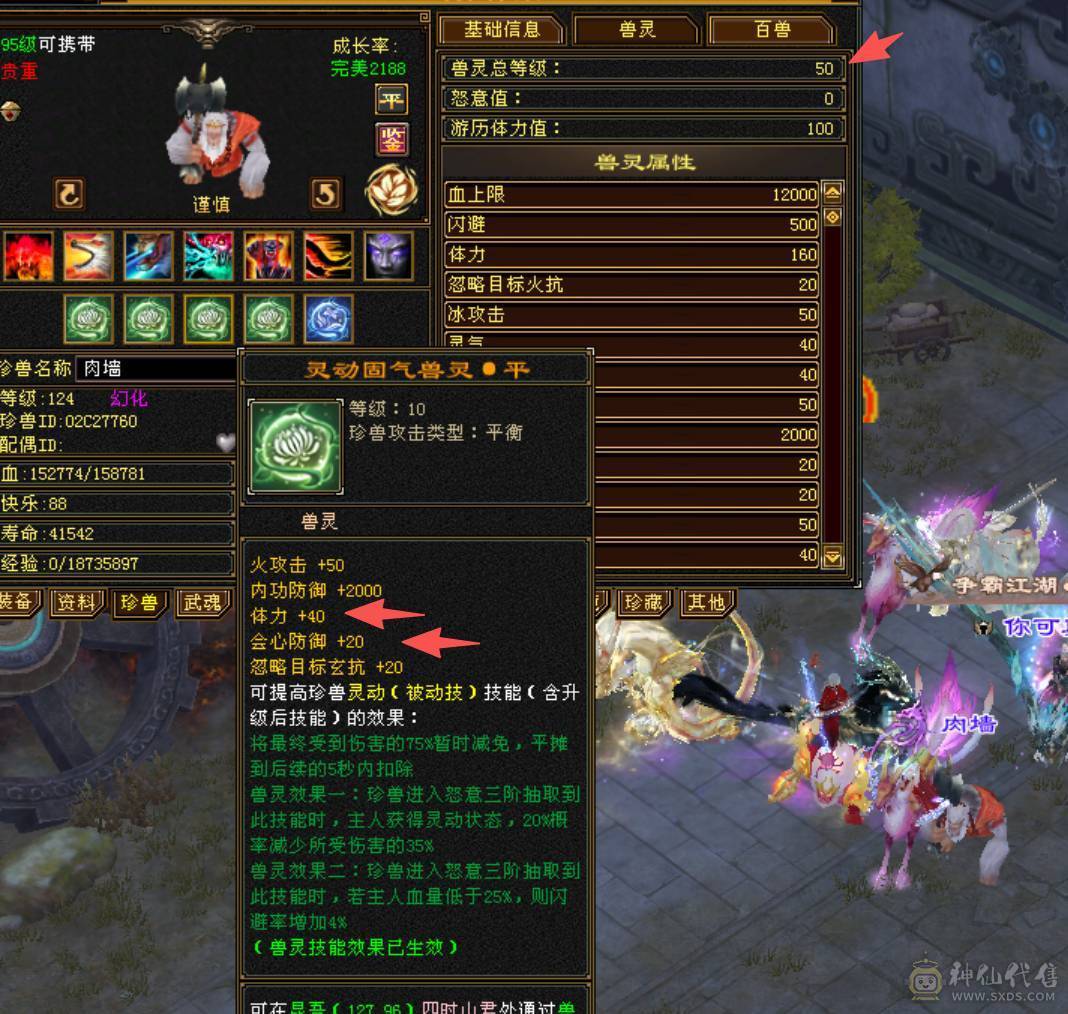 全网最低满7属气武当，能抗能打，争霸赛主力辅助型打手，