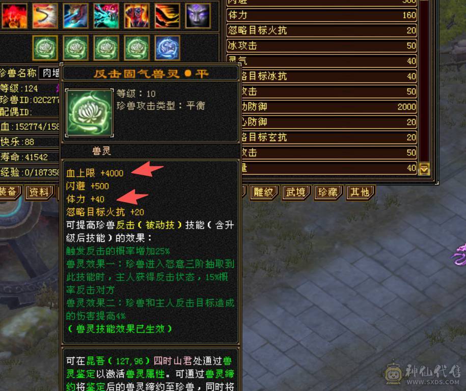 全网最低满7属气武当，能抗能打，争霸赛主力辅助型打手，