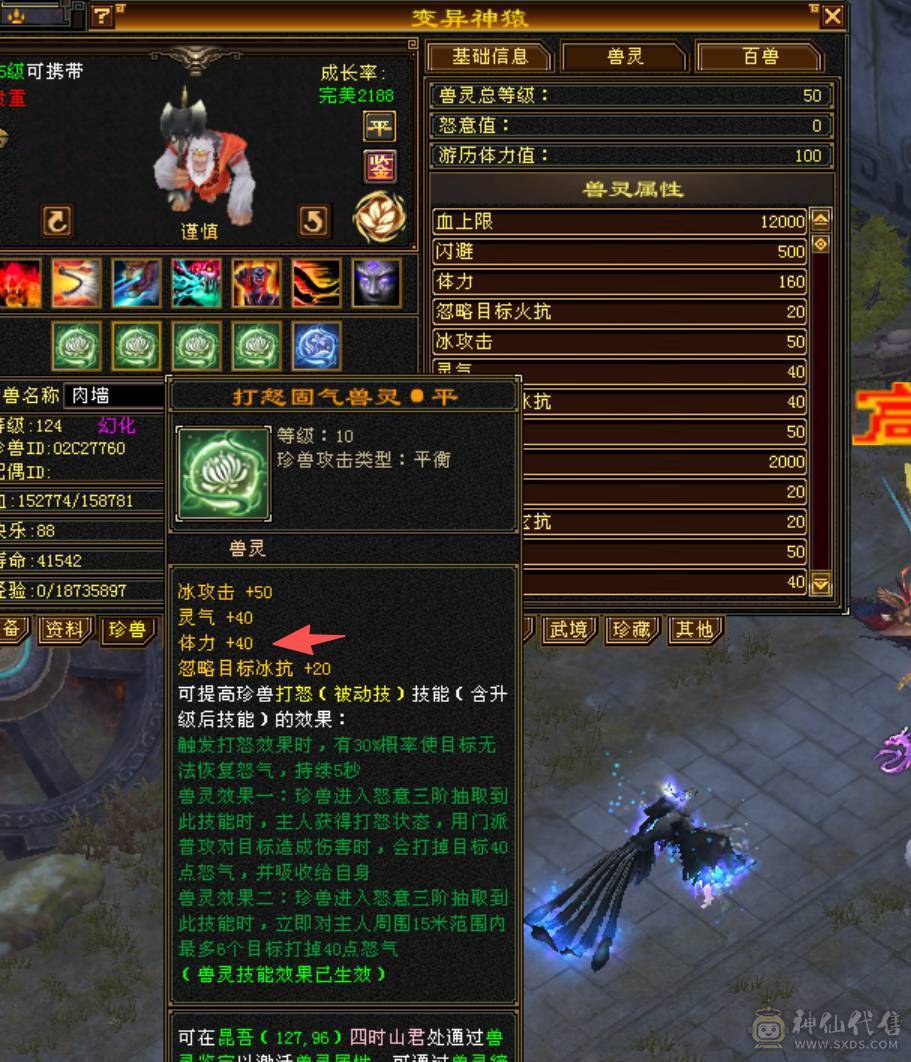 全网最低满7属气武当，能抗能打，争霸赛主力辅助型打手，