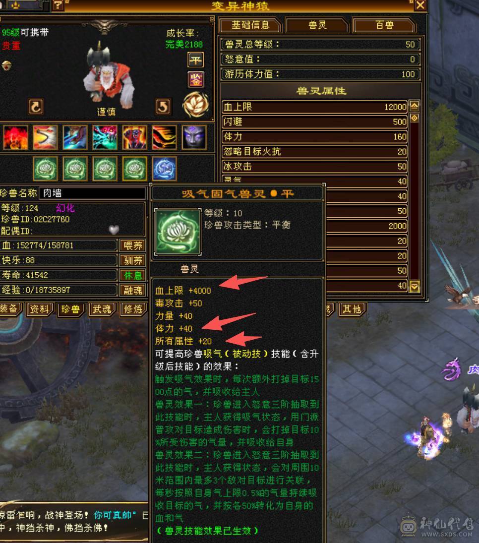 全网最低满7属气武当，能抗能打，争霸赛主力辅助型打手，