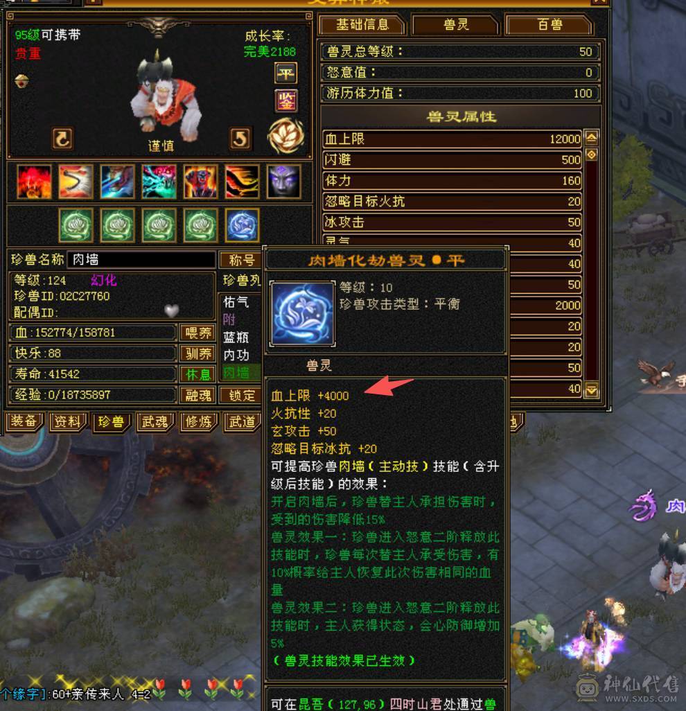 全网最低满7属气武当，能抗能打，争霸赛主力辅助型打手，