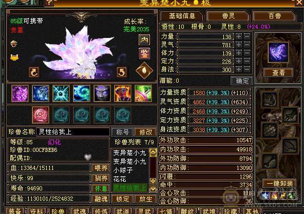 亮点比较多 辛苦多找找 永久紫电 带4500+资质顶变楚小九