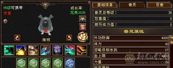【精品】四修少林.极限输出