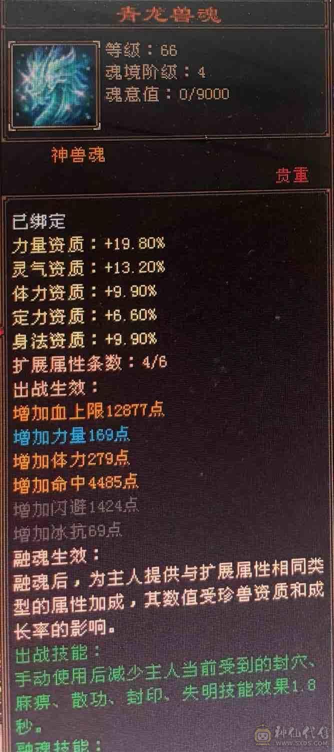  45万血随便改造一下50万血 全服第一大区
