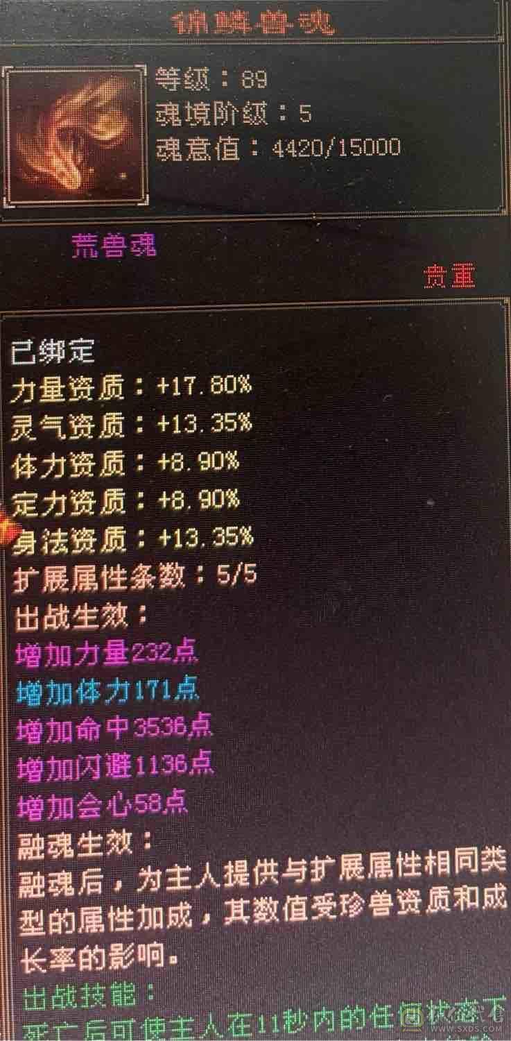  45万血随便改造一下50万血 全服第一大区