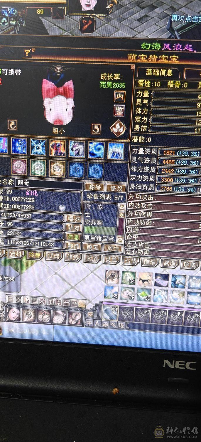 4休4减高血高会，带增伤，一个45资质的宝宝，一个41➕宝宝