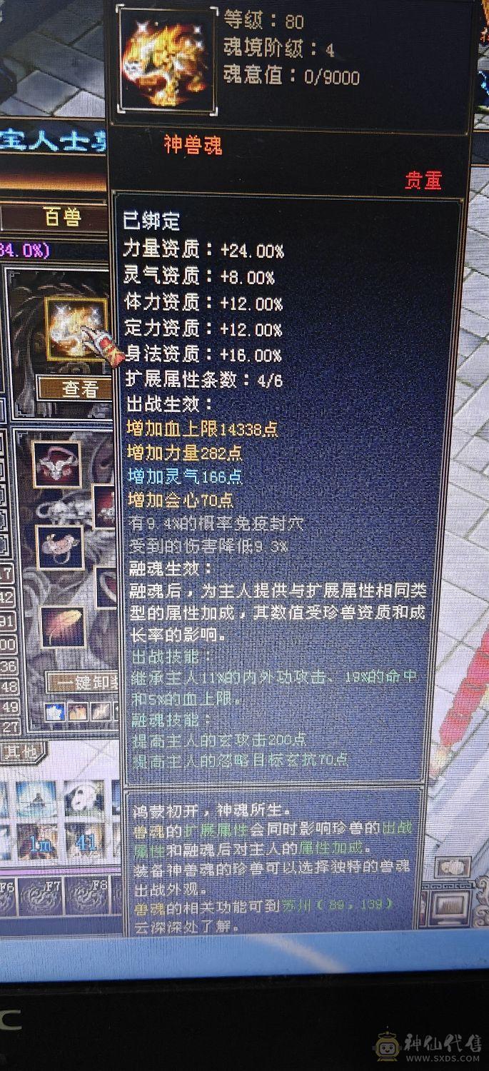 4休4减高血高会，带增伤，一个45资质的宝宝，一个41➕宝宝