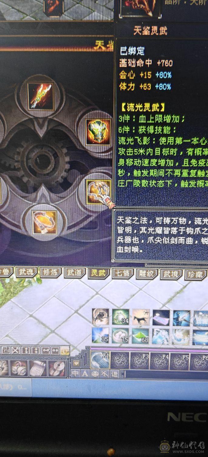 4休4减高血高会，带增伤，一个45资质的宝宝，一个41➕宝宝