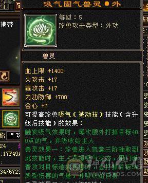 🍎余生 直播推荐🍎极限5级+外观拉满+副本打架都行+10+7盟会