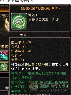 🍎余生 直播推荐🍎极限5级+外观拉满+副本打架都行+10+7盟会