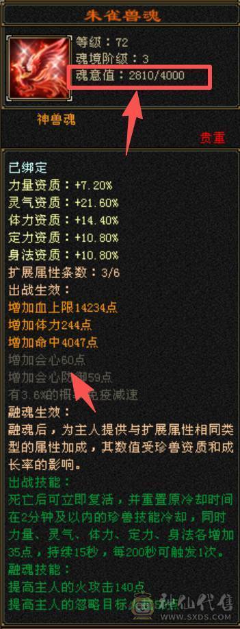 5级副本逍遥，带红熊王，4级幻视，马上4神