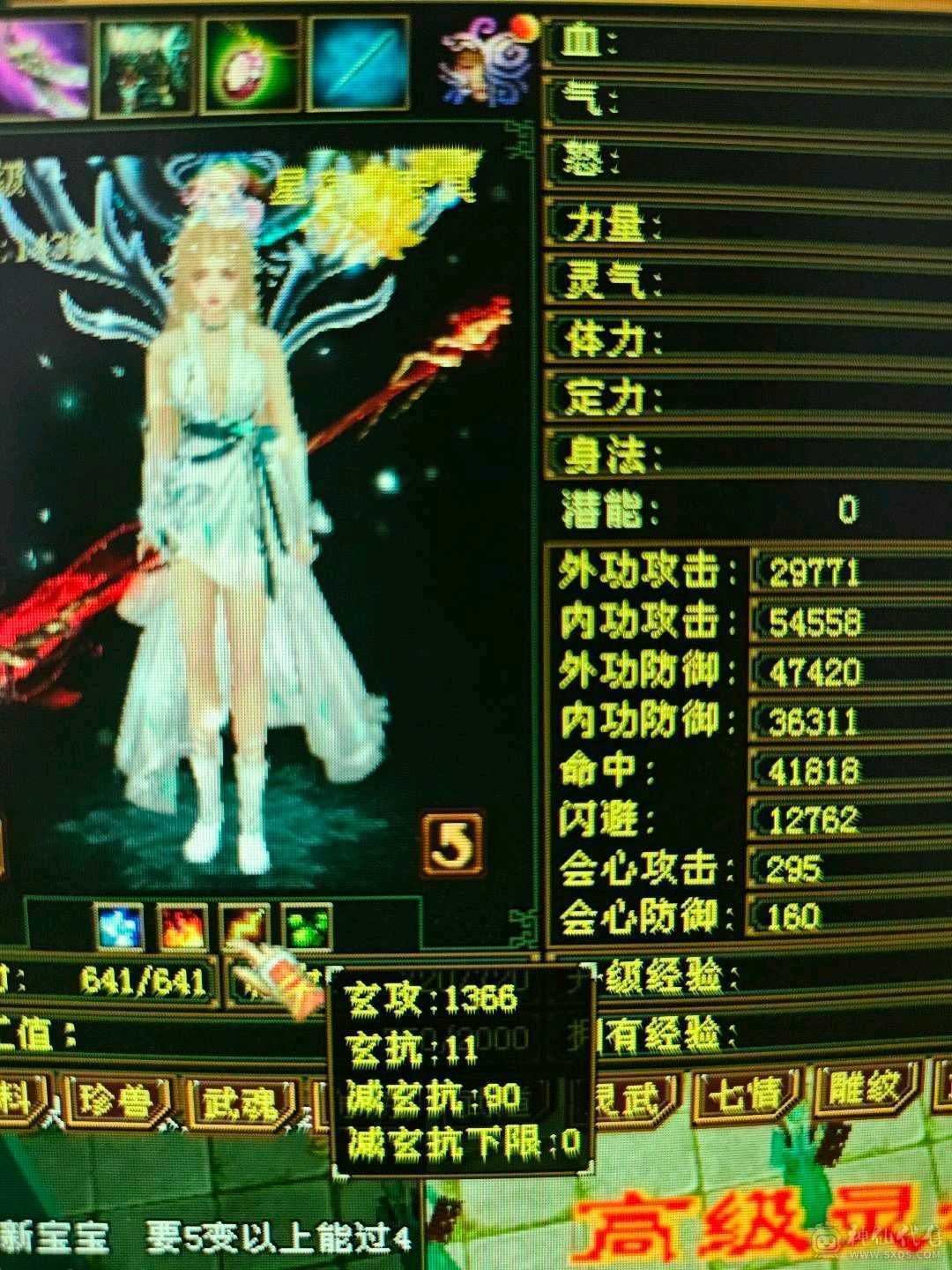 51万血，6阶慌4阶白虎！极品副武器！增伤拉满，冰抗701