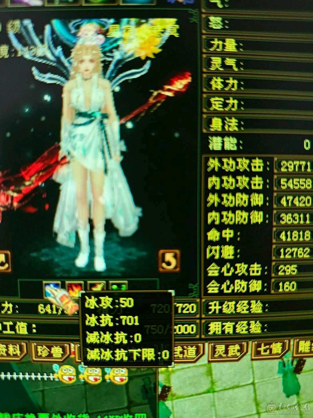 51万血，6阶慌4阶白虎！极品副武器！增伤拉满，冰抗701