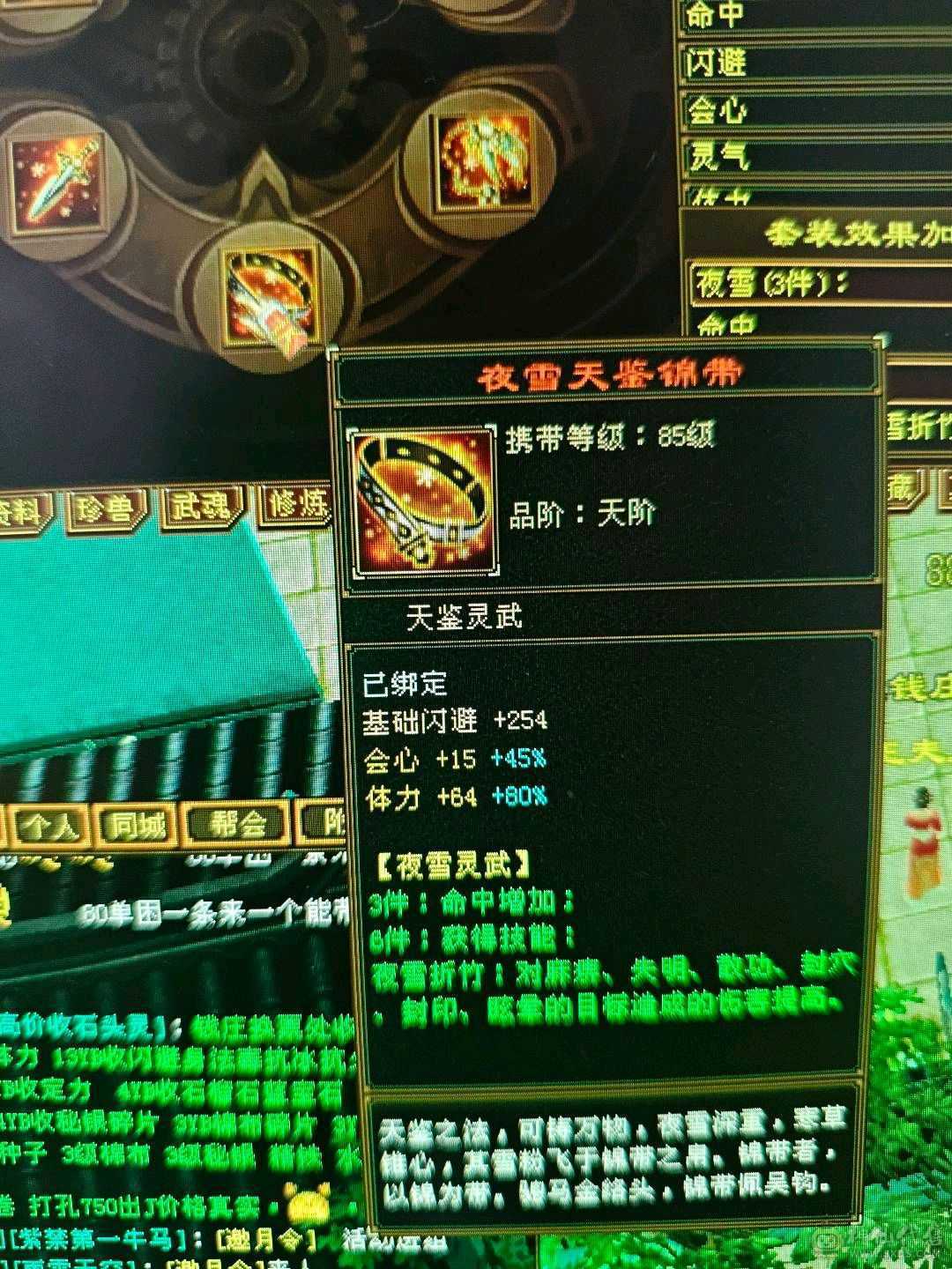 51万血，6阶慌4阶白虎！极品副武器！增伤拉满，冰抗701