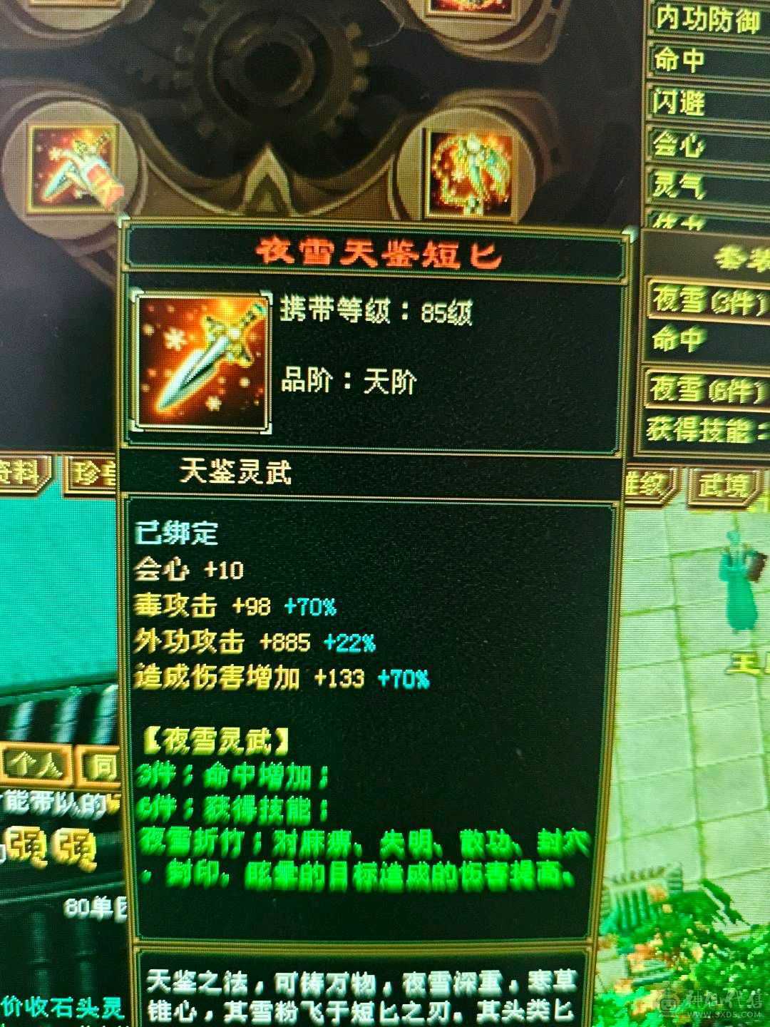 51万血，6阶慌4阶白虎！极品副武器！增伤拉满，冰抗701