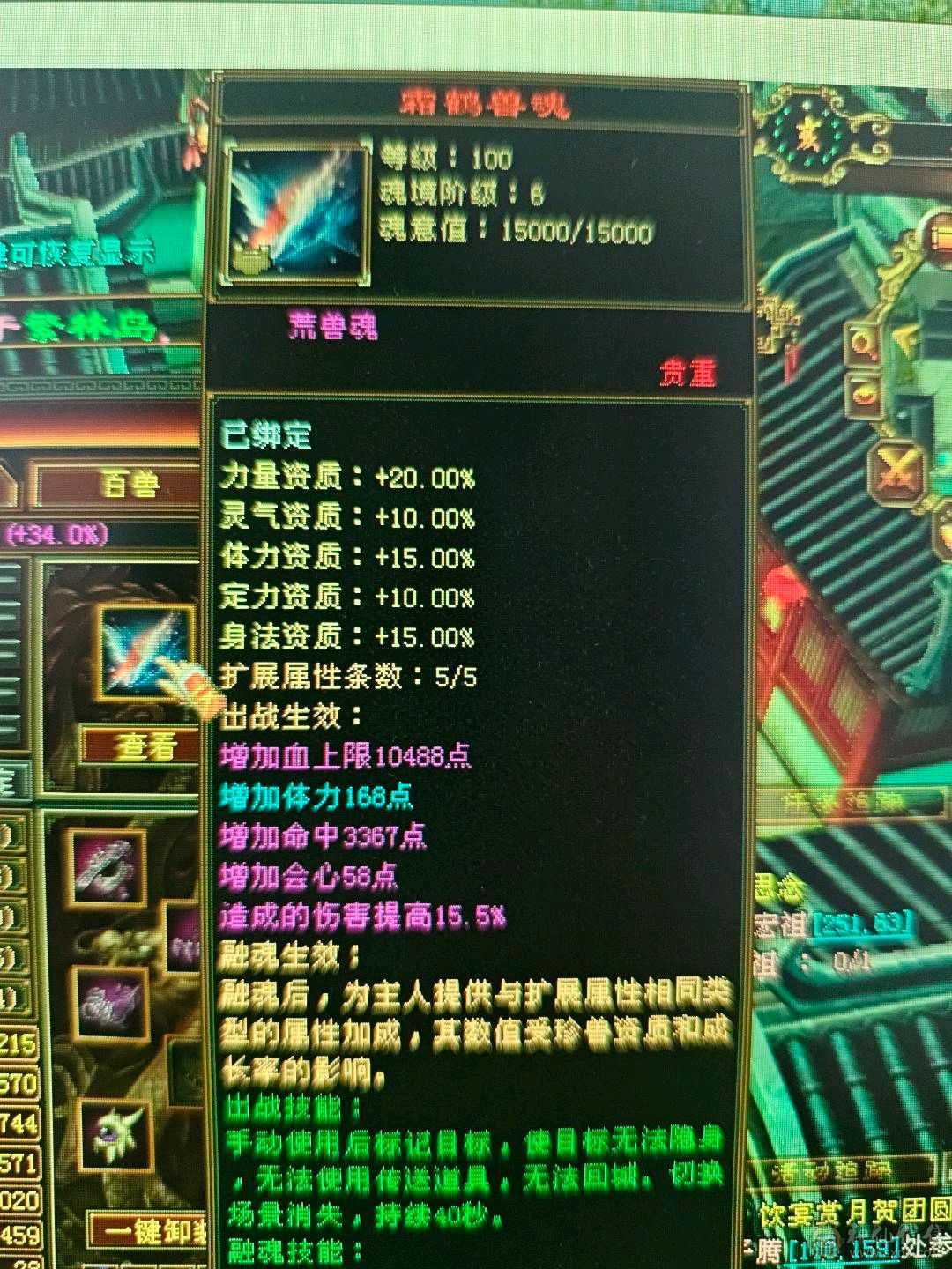 51万血，6阶慌4阶白虎！极品副武器！增伤拉满，冰抗701