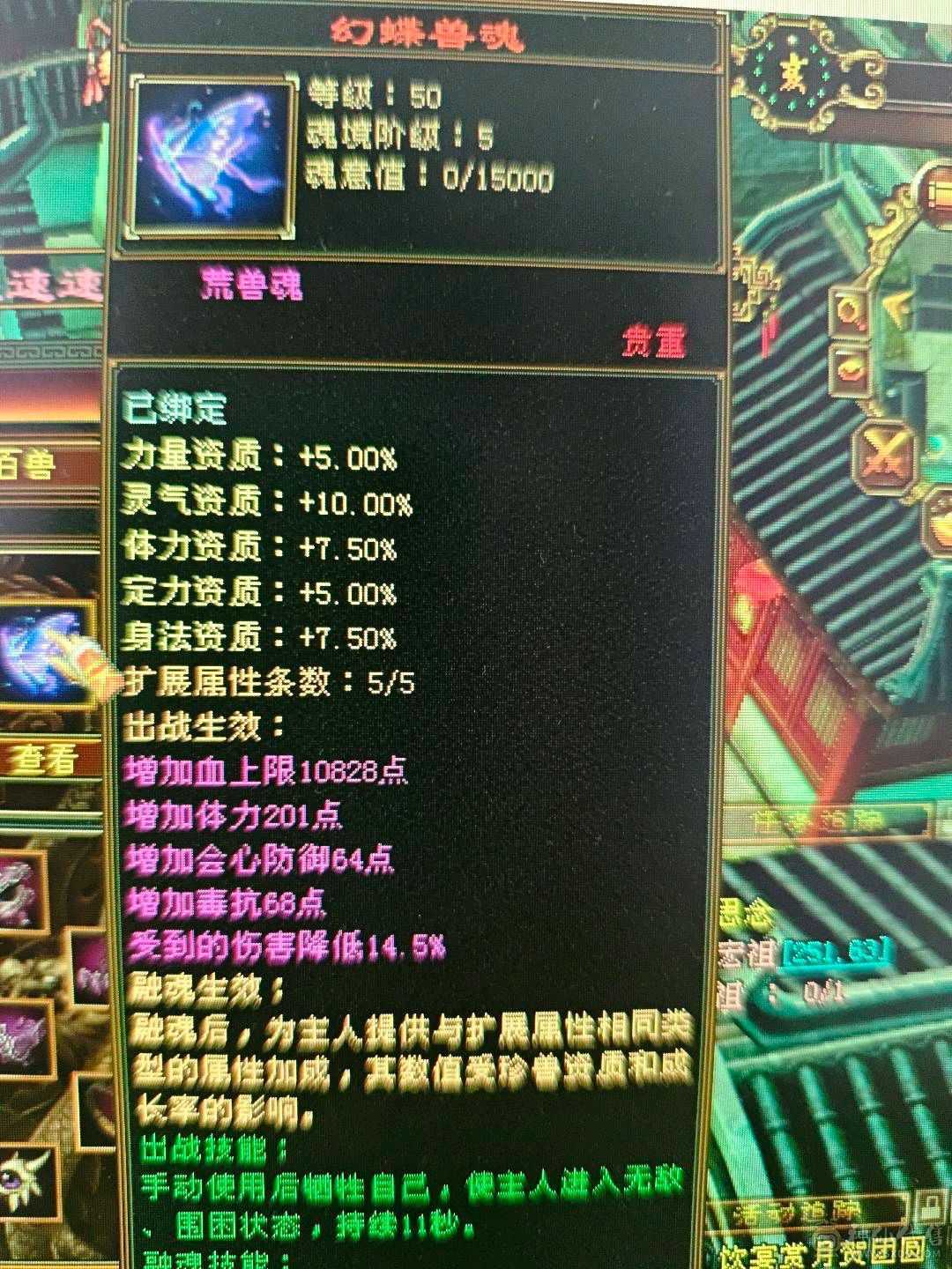 51万血，6阶慌4阶白虎！极品副武器！增伤拉满，冰抗701