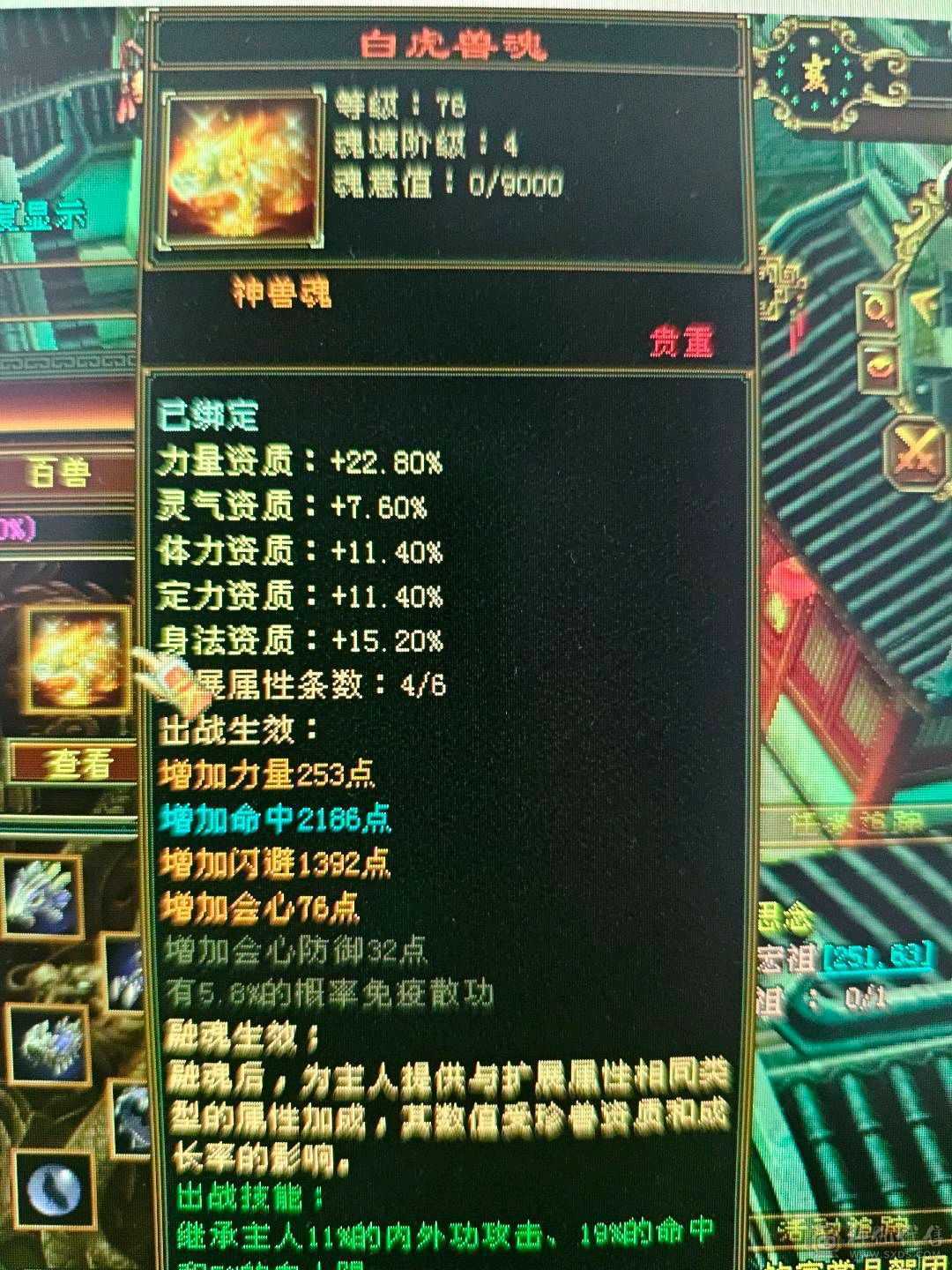 51万血，6阶慌4阶白虎！极品副武器！增伤拉满，冰抗701