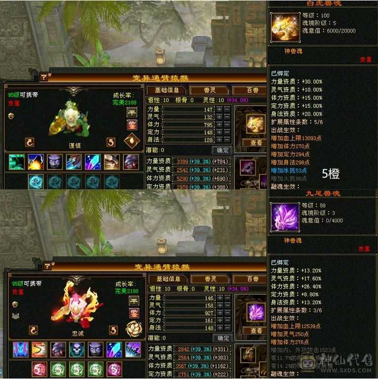 5带4， 每天都在玩， 一直在更新中，  没断更过