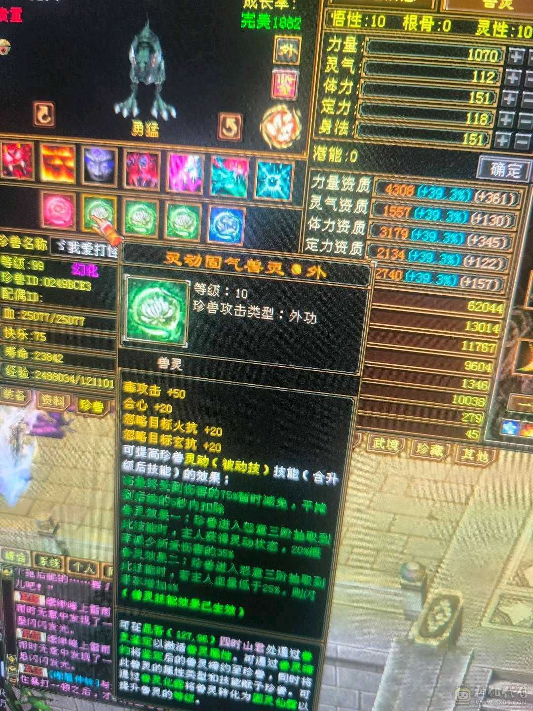 低价出带50灵外功，和拼命10顶变电龙3只宝宝不玩随时回本