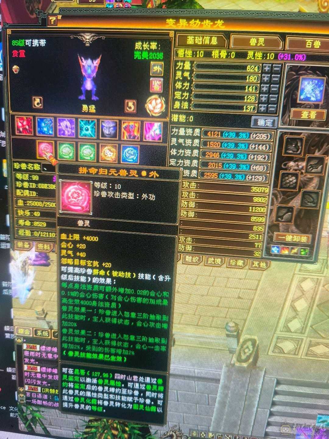低价出带50灵外功，和拼命10顶变电龙3只宝宝不玩随时回本