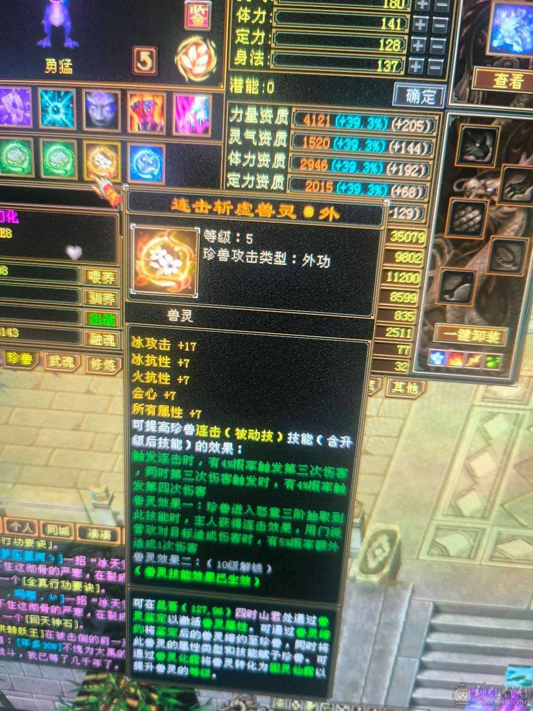 低价出带50灵外功，和拼命10顶变电龙3只宝宝不玩随时回本
