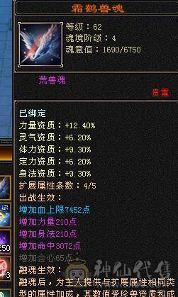 满6体满6属6身法带几个6命中一个6减 满8雕 5新雕 断桥 红熊王坐骑 4套95五星套 白虎已洗好 自己看看吧 面板吃了个5级精华  大8星帽子 