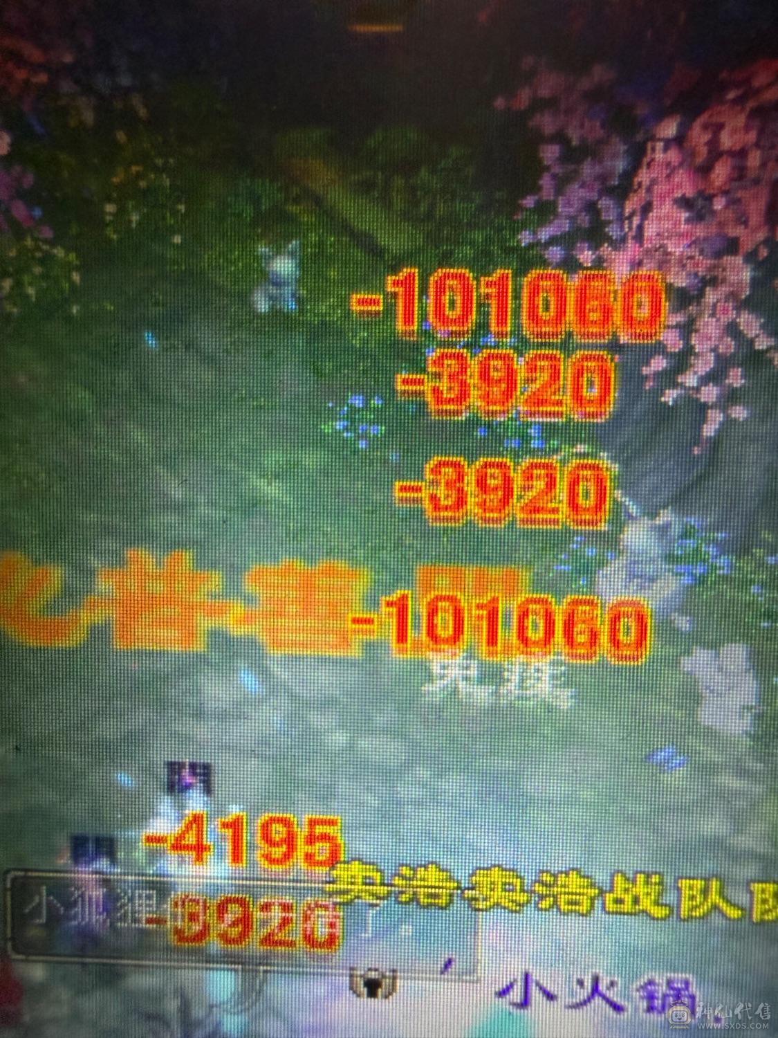 赤兔：55万血比6级号差？，满6体满5减纹刻全5：神兽6阶差一半，武魂19下限，极限细节4修（冰玄毒增伤副属性过千）满6体满5减，装备极品，雕文8-5