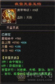 【邀月推荐】暴力六减三修天山，限定坐骑时装都有，4级新幻视，带50灵宝宝，命中7W多，会心565打人很疼，心络纹刻都更新