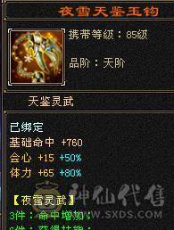 6级8雕6命中 三修 永久坐骑 持续更新中