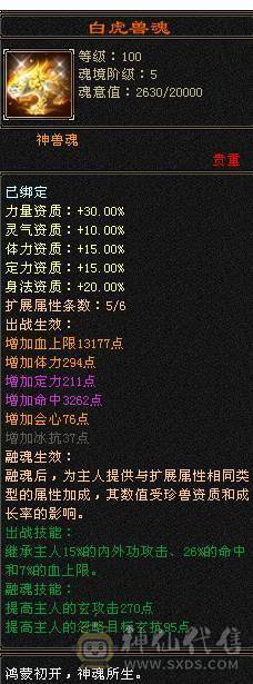 星辰推荐 满6带7气武当 20万气 十万内功  气武当天花板  全身极品八星 