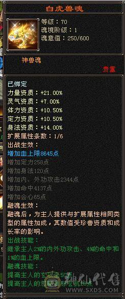 星辰推荐 满6带7气武当 20万气 十万内功  气武当天花板  全身极品八星 