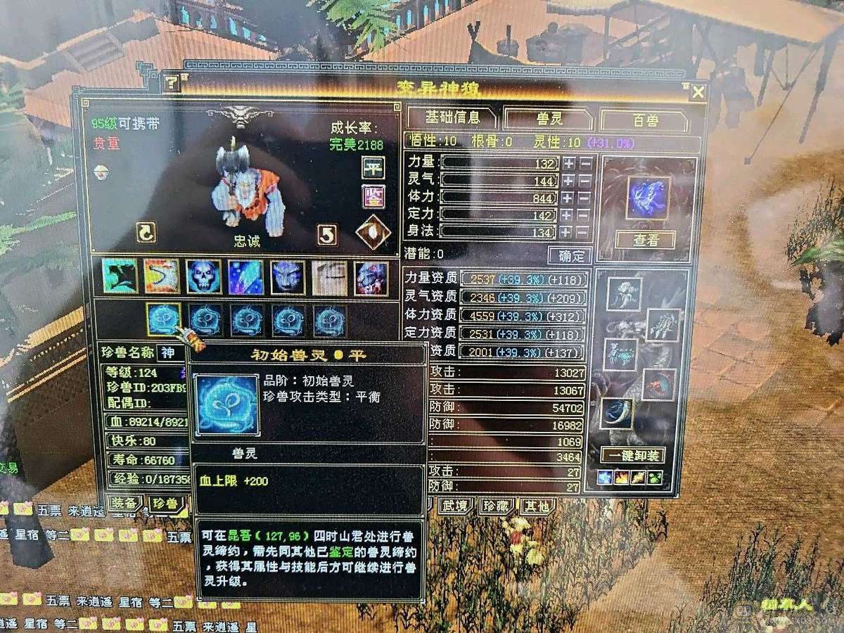 950火坑，站着打6级逍遥的人，三满号，7-5雕文，啊，自己看吧。亮点自己找。′