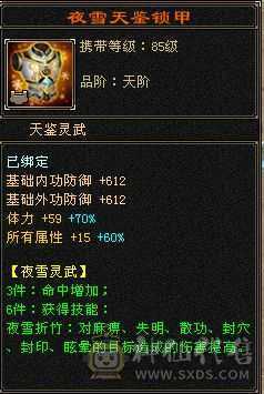 四修三减600会心外攻六级天山，打人万属伤，老雕8新雕5，乌骓，成品高净化神佑肉墙体力bb全带