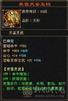 四修三减600会心外攻六级天山，打人万属伤，老雕8新雕5，乌骓，成品高净化神佑肉墙体力bb全带