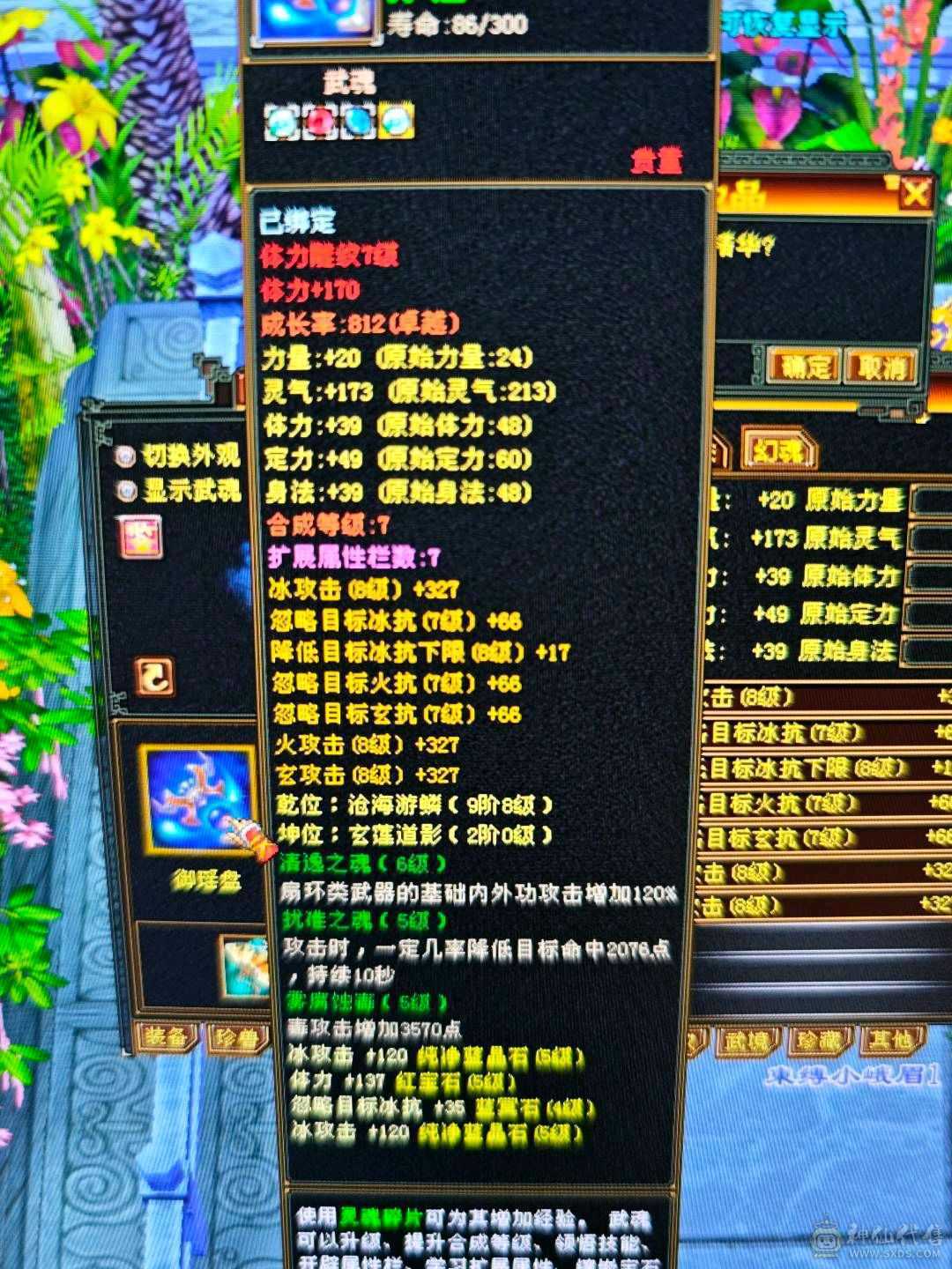 暴力龙威天龙