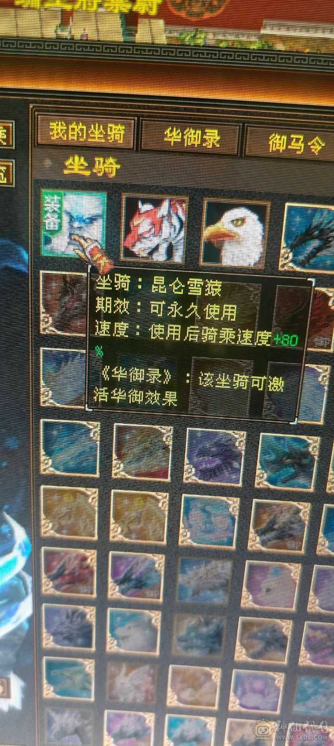，可砍价，急出，修炼心法以满，满状态可达93万血，六阶幻蝶，鹿蜀六阶都能锁六条，，修炼心法全满，最新面板
