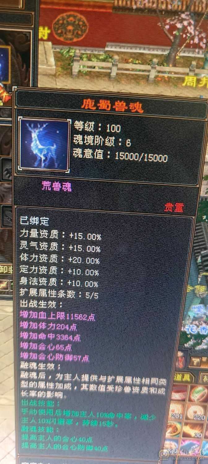 ，可砍价，急出，修炼心法以满，满状态可达93万血，六阶幻蝶，鹿蜀六阶都能锁六条，，修炼心法全满，最新面板