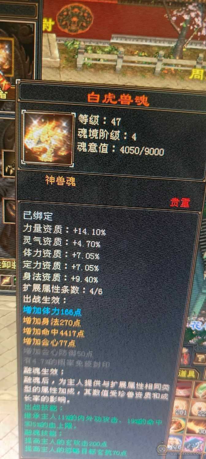 ，可砍价，急出，修炼心法以满，满状态可达93万血，六阶幻蝶，鹿蜀六阶都能锁六条，，修炼心法全满，最新面板