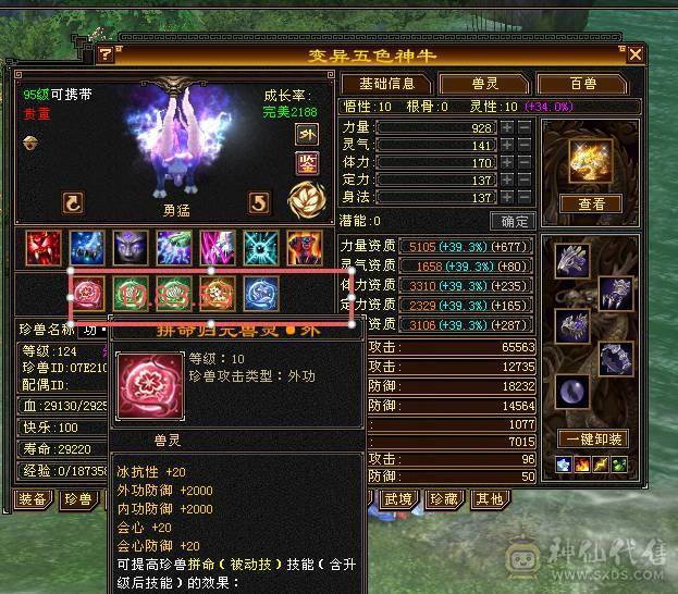 移动粉丝团：超.品.极限纯6.6.带7.三修.满8雕.纹刻.精绘.心落.全更新.双限定坐骑.红仙侣.幻世.背饰.全齐.62W+血.5.8W+外.6.5W+命中.460+会心.333+会防（裸））
