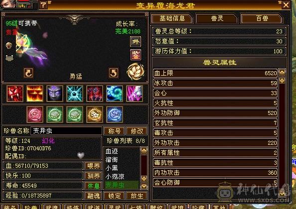 裸血50W龙威天龙，总属性1W+双排冰抗
