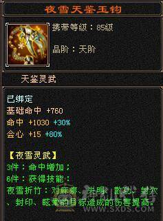 五级细节火毒双休逍遥，极品手工，五神，带宝宝，玄武幻魂，三满，到手就玩